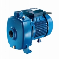 Máy bơm đầu Inox Pentax MPX 100/4 