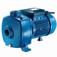 Máy bơm đầu Inox Pentax MPX 100/4 